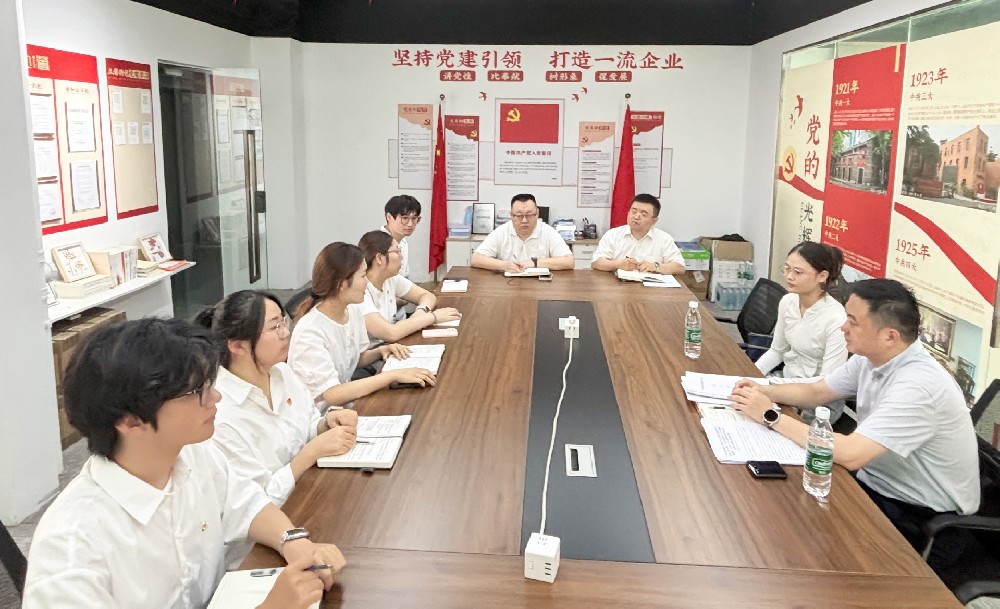 党建引领聚合力，清风护航促发展——市委网信办副主任杜巍莅临我司指导学习