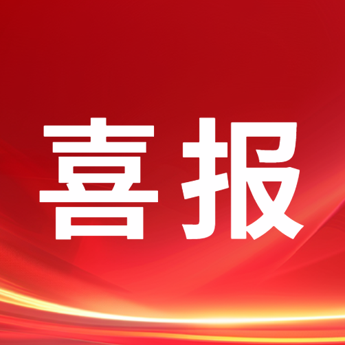 喜讯！中共阜阳土著网络科技有限公司支部委员会 荣获2026年“阜阳市先进基层党组织” 称号